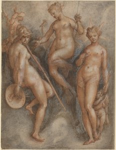 Minerva, Giunone e Venere